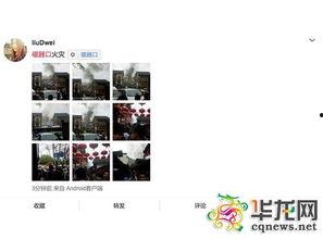 重庆网友爆料最新,揭秘某神秘事件背后真相！